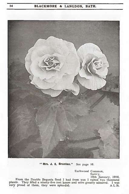 B. ‘Mrs. J. S. Brunton’